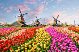 Hermoso paisaje de los Países Bajos
