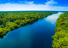 Viaje a Brasil con la selva del Amazonas