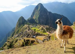 Machu Picchu Inca, Cusco