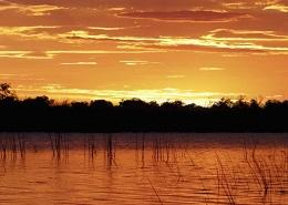 Delta del Okavango