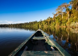 Aventura por Selva de Colombia