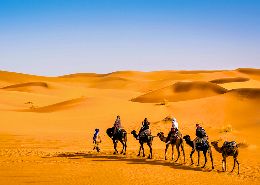 Excursión en camello por el desierto del Sahara