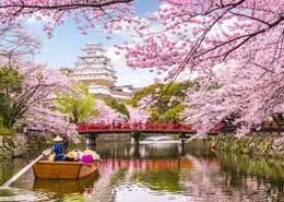 Japón para Novios