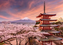 Viaje combinado a Japón y Corea 2024