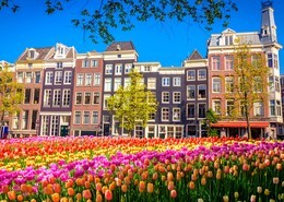 Viaje histórico por Holanda y Bélgica