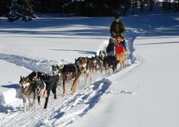 Viaje de Aventura con Santa Claus