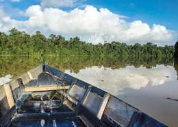 Río Kinabatangan