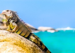 Tour por Colombia con guías