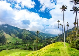 Cultura colonial Colombia